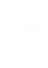 F2-BLANCO